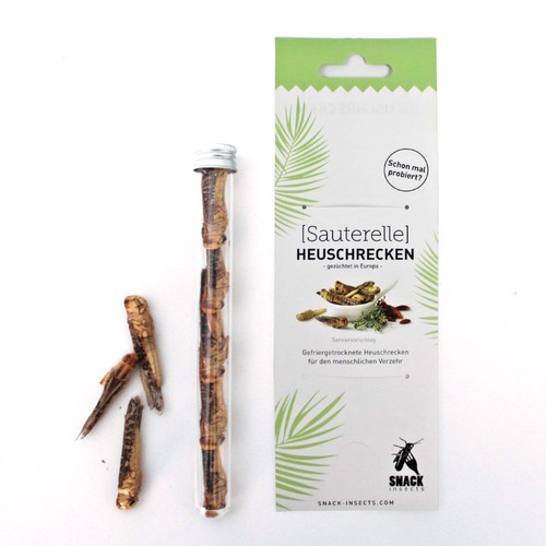Snack insects heuschrecken - snack-insects,