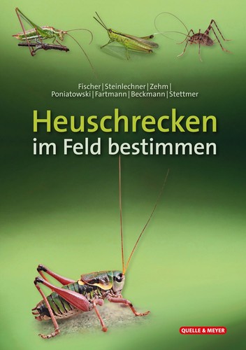Heuschrecken feld bestimmen - heuschrecken,