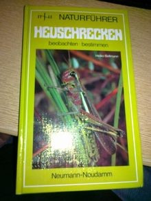 Heuschrecken beobachten-
