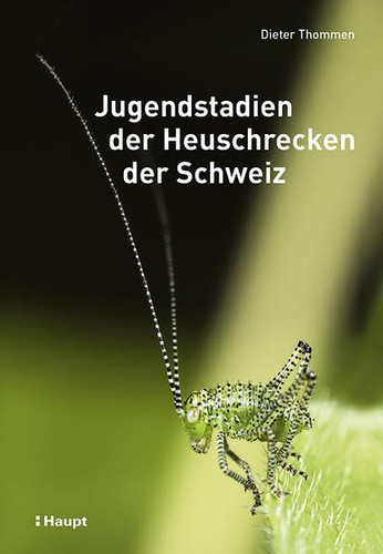 Jugendstadien der heuschrecken - jugendstadien,