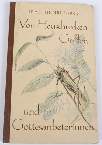 Von heuschrecken grillen - heuschrecken,,