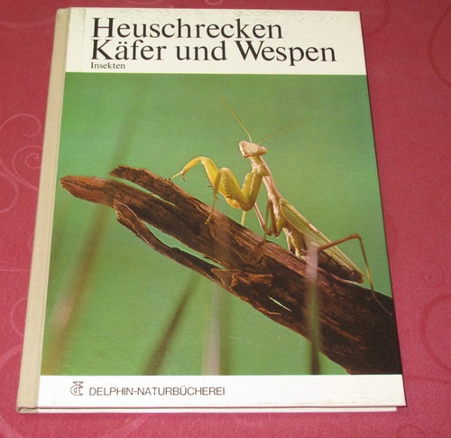 Heuschrecken käfer und - käfer,