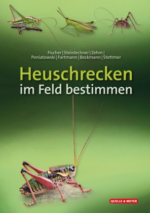 Heuschrecken feld bestimmen - heuschrecken,