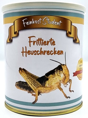 Frittierte heuschrecken aus - heuschrecken,