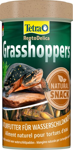 Tetra reptodelica grasshoppers - reptodelica,