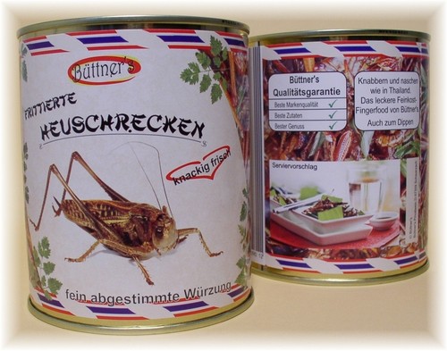 HEUSCHRECKEN