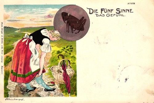 Die fünf sinne das - "die, sinne",