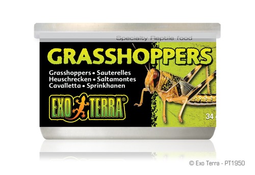 Exo terra heuschrecken - terra,