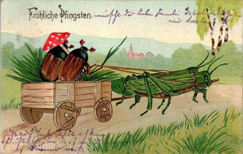 Litho pfingsten fröhliche - pfingsten,