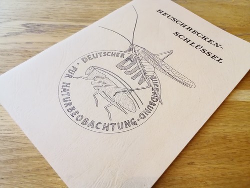 Heuschrecken-Schlüssel