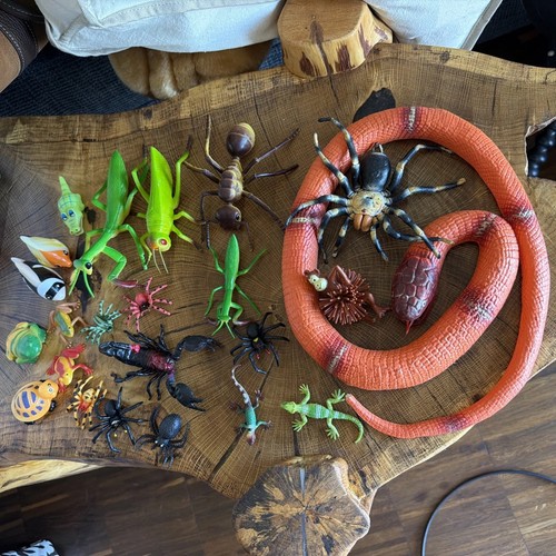 Sammlung schlange reptilien - sammlung,
